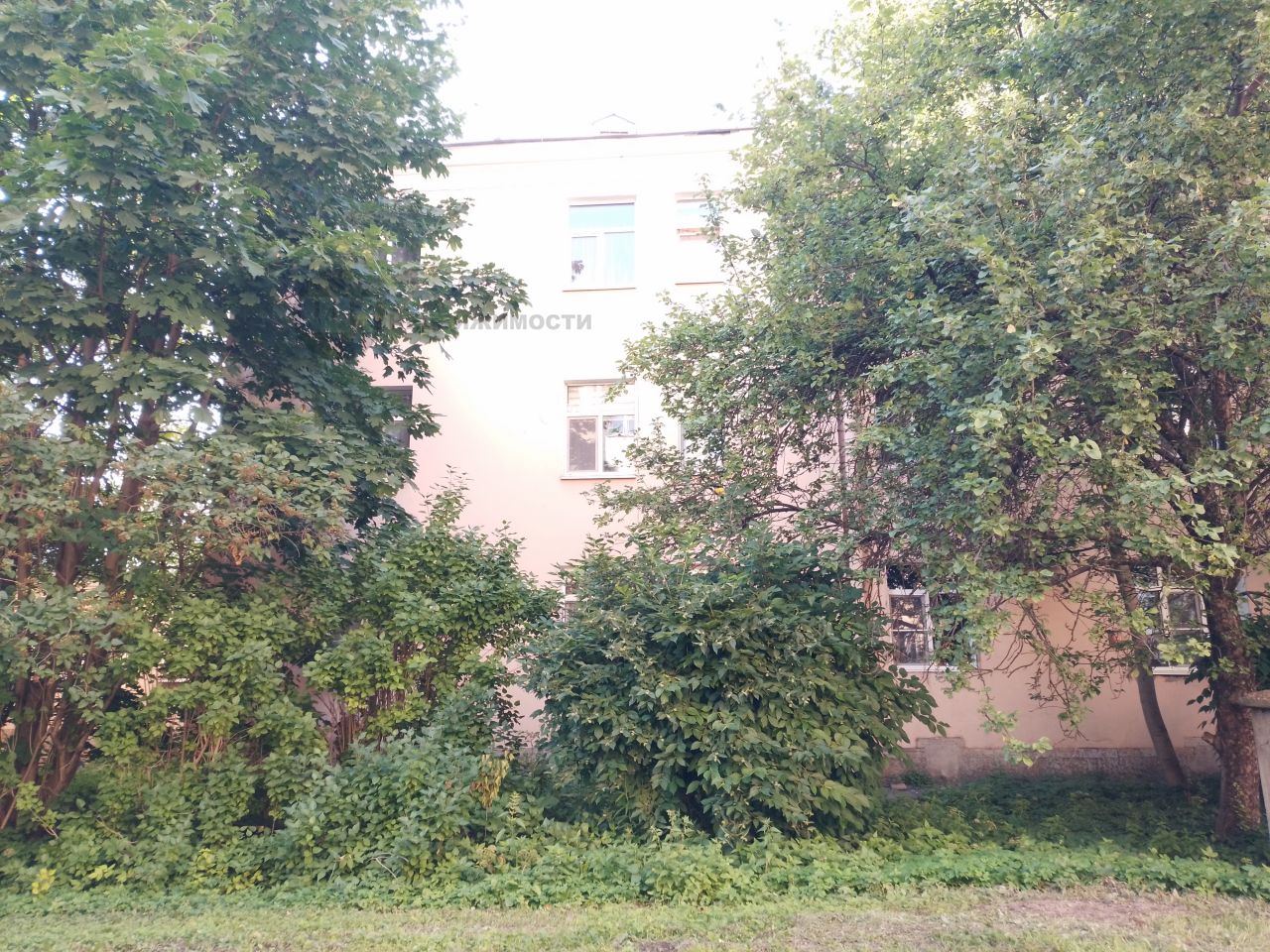 /products/3371184.jpg